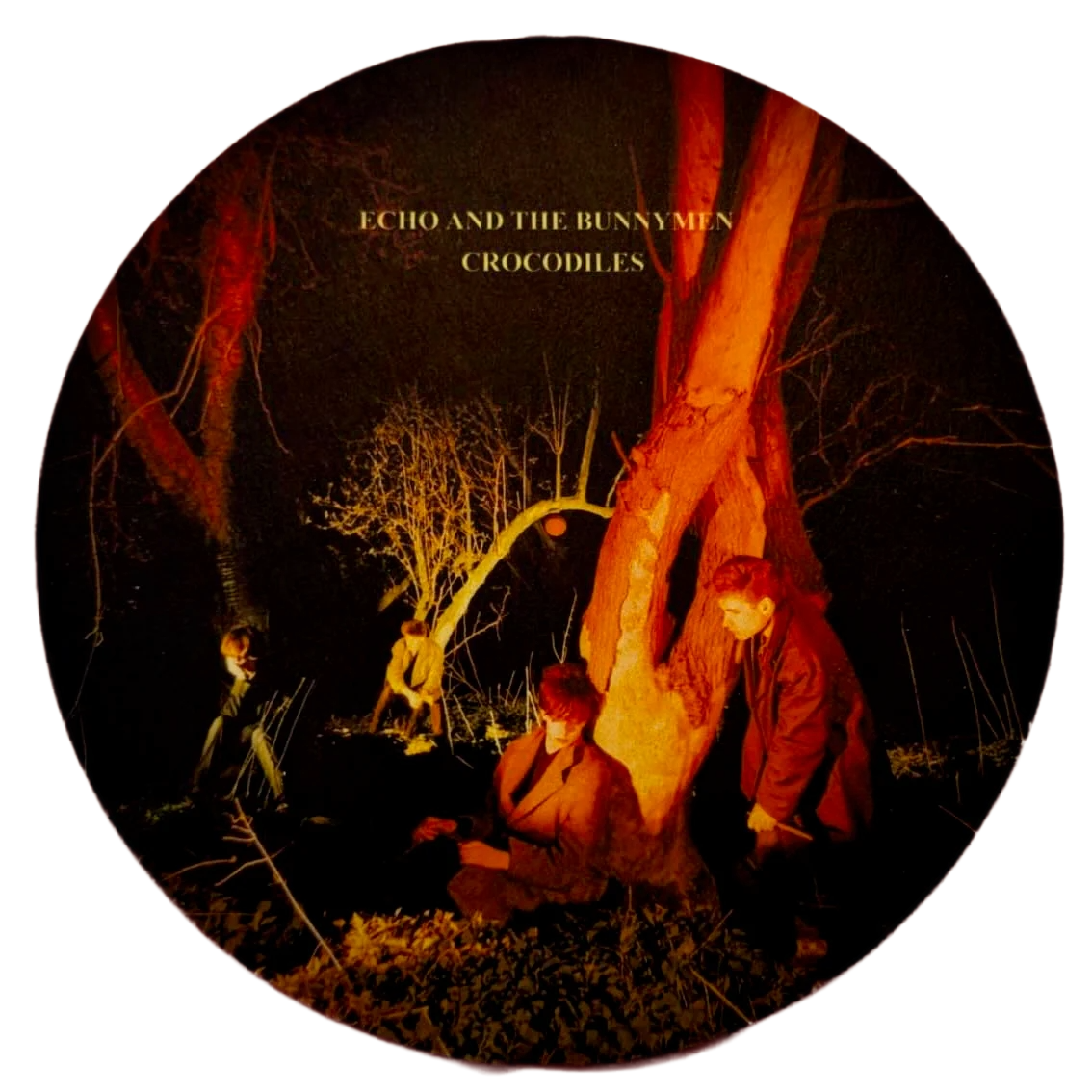 Official Echo & The Bunnymen Vinyl Record Deck Slip-Mats